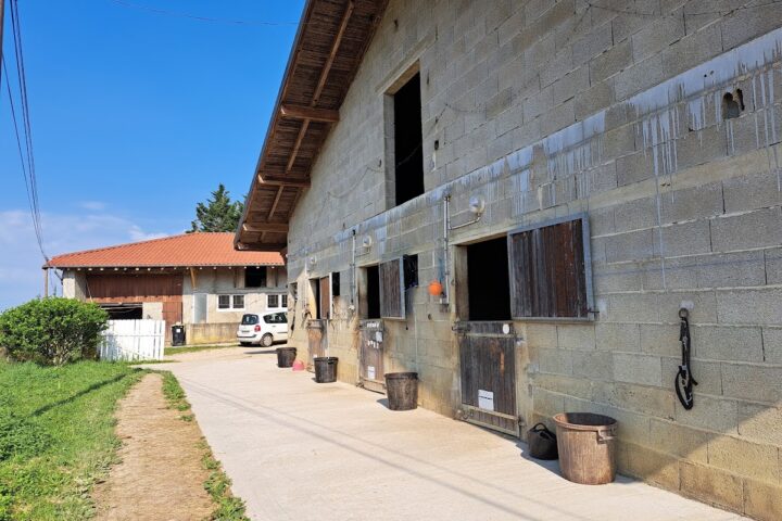 Espace Cheval