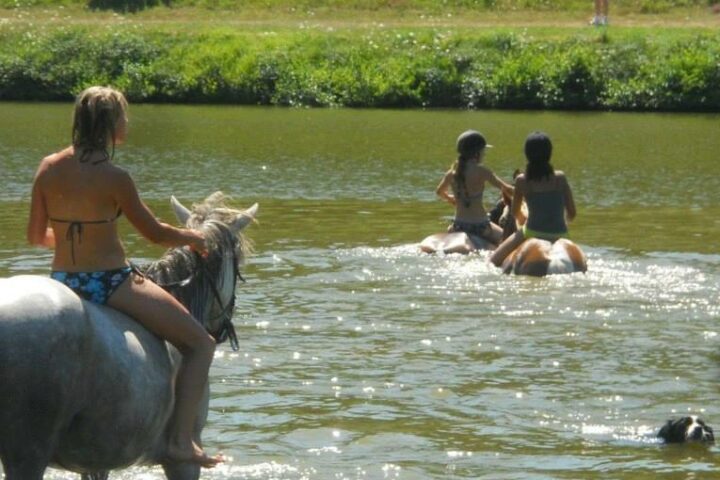Ferme équestre Au Paradis des Chevaux