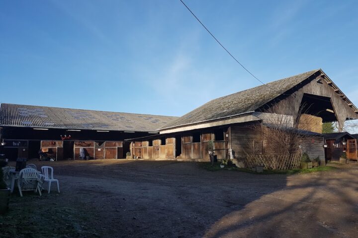 Haras du Cèdre