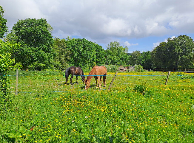 La Ferme du Syet