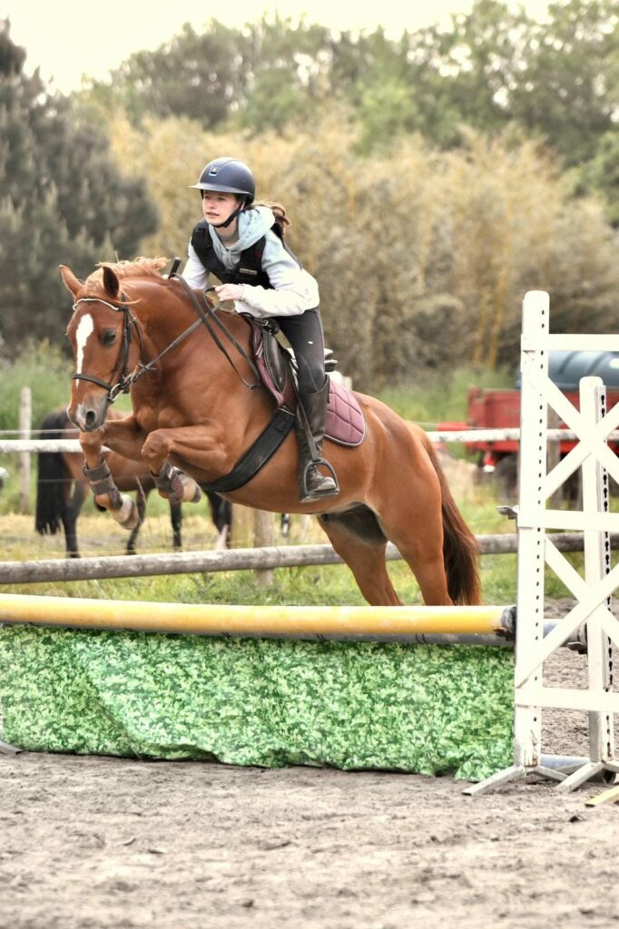 Lannion Equitation
