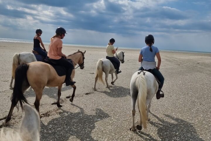Les Chevaux de l&rsquo;Escale