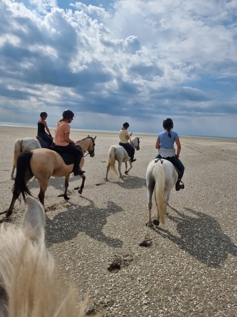Les Chevaux de l’Escale