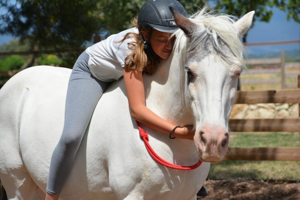 Lucky Horse Ranch