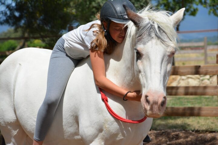 Lucky Horse Ranch