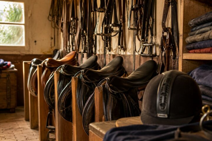 Le matériel d&rsquo;équitation : la liste complète