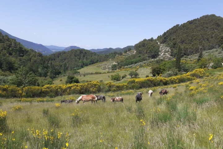 Les Jardins d&rsquo;Olia