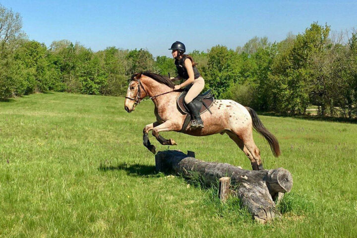 Poney-Club de Bonrepos