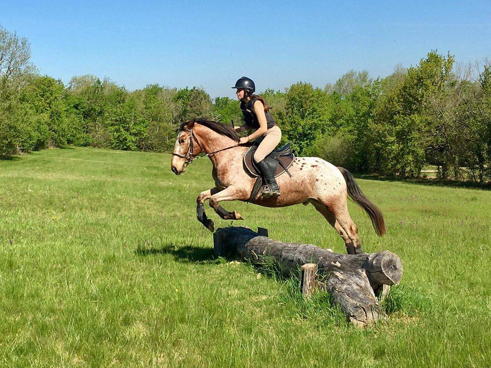 Poney-Club de Bonrepos