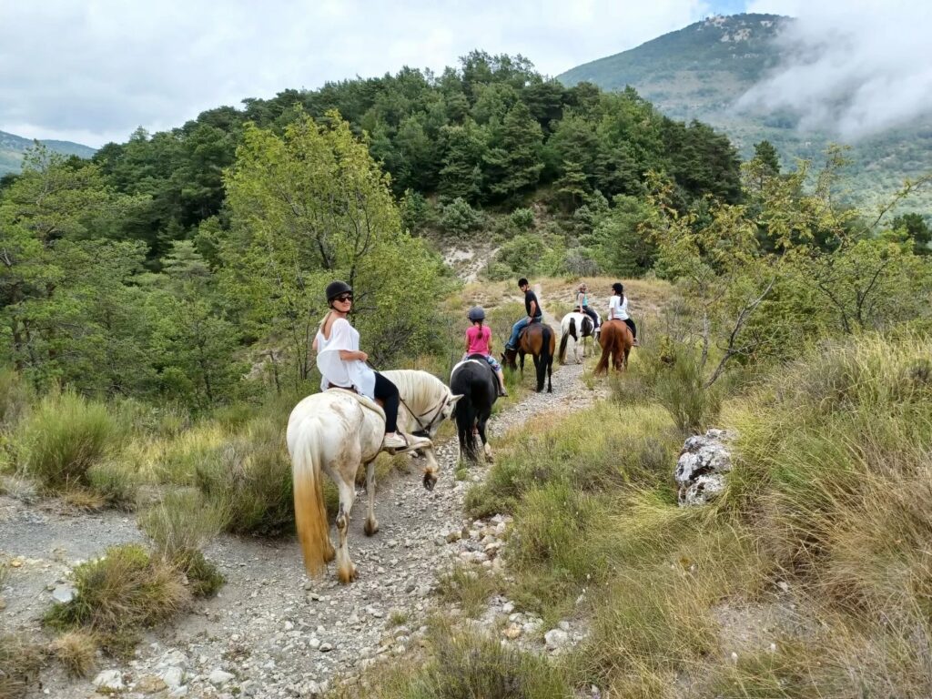 Soubrana Cheval Montagne