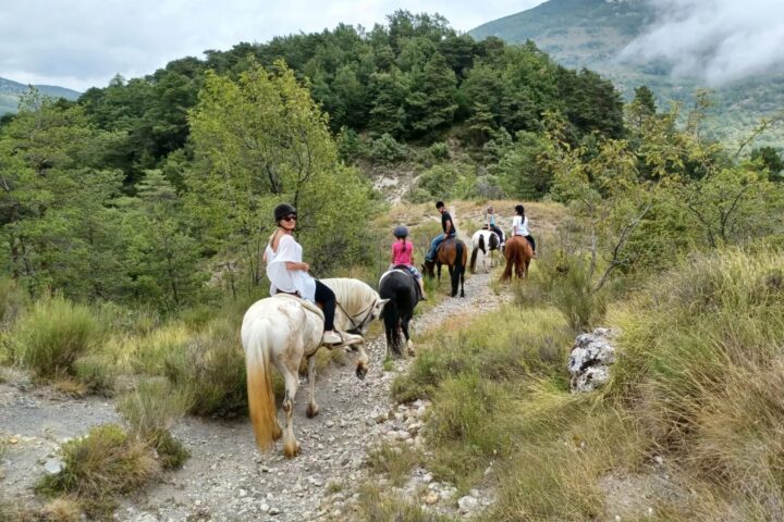 Soubrana Cheval Montagne