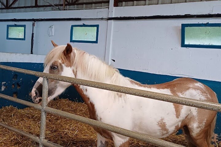 Club Hippique de Meaux