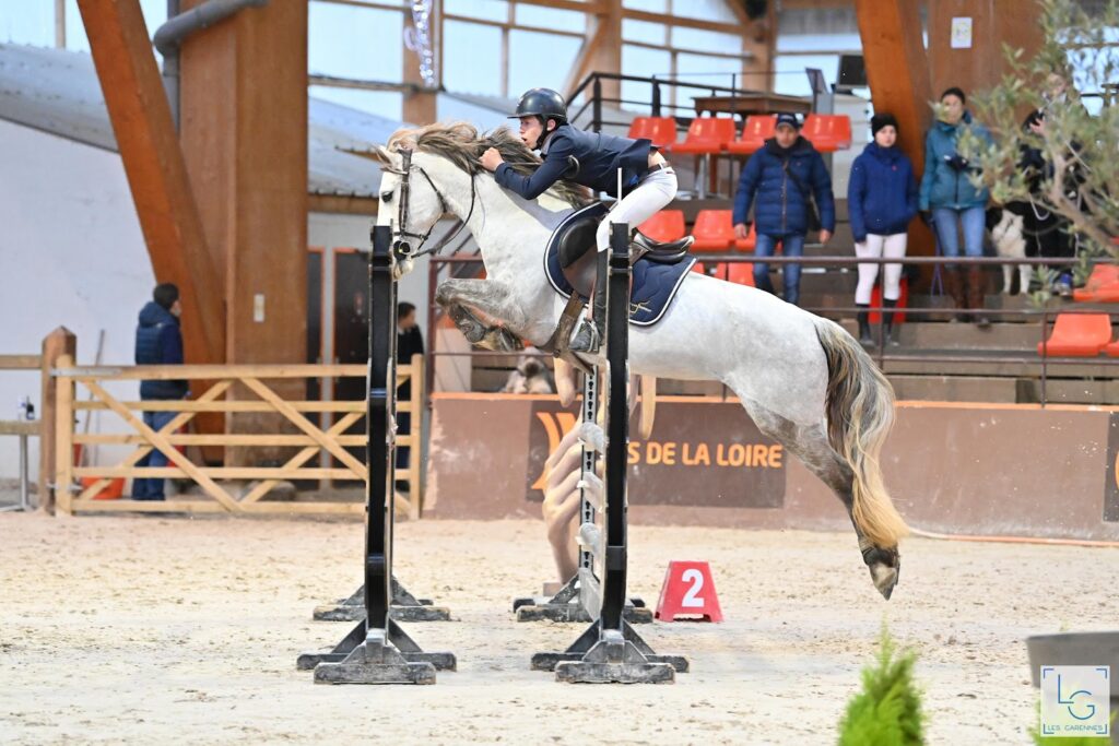 Écurie Team Horse Compétition