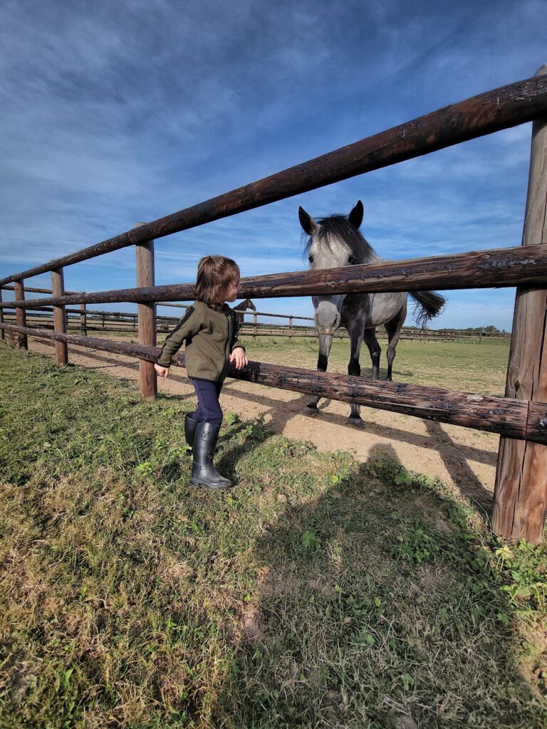 Écuries d’Axel