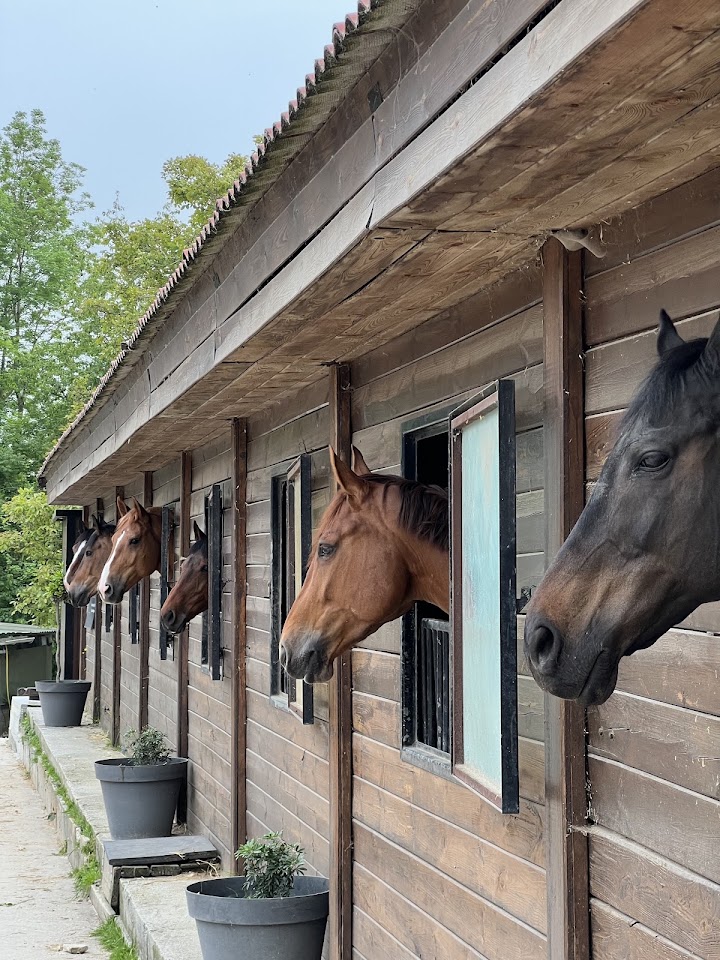 Haras des Sources