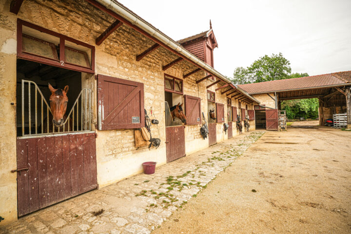 Haras du Val des Escholiers
