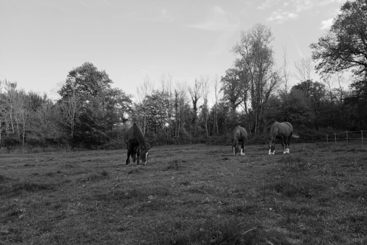 Les Écuries de la Blandinerie