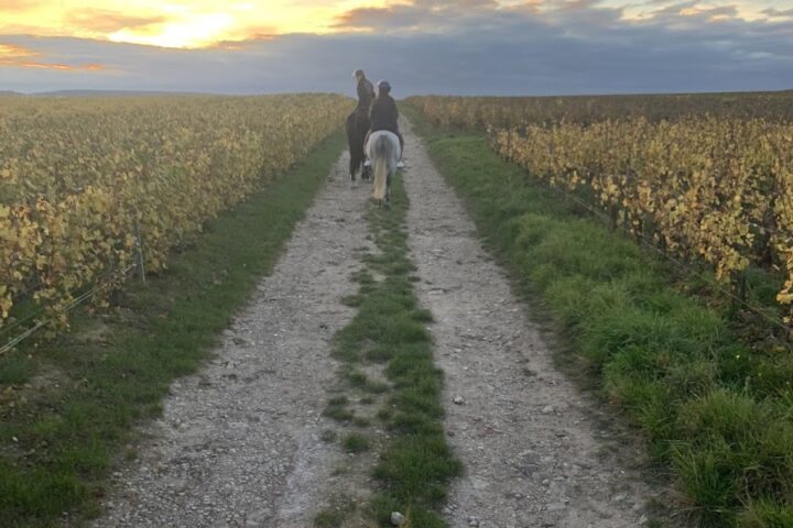 Pôle Équestre de Champagne