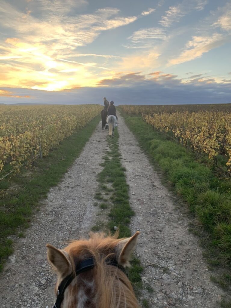 Pôle Équestre de Champagne