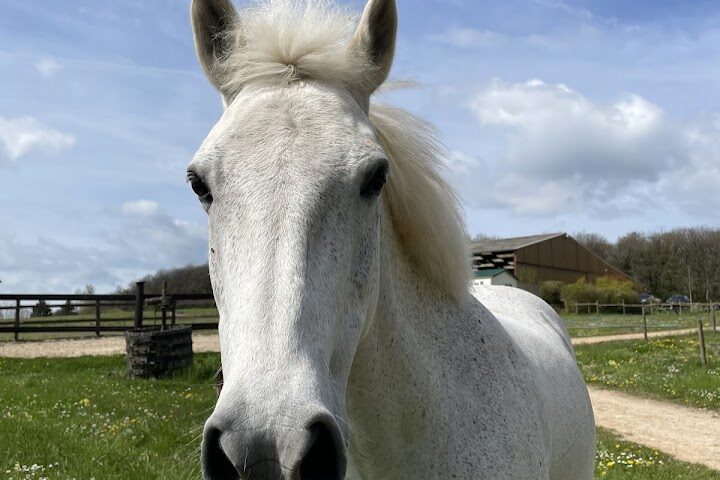Poney-Club de l&rsquo;Autrot