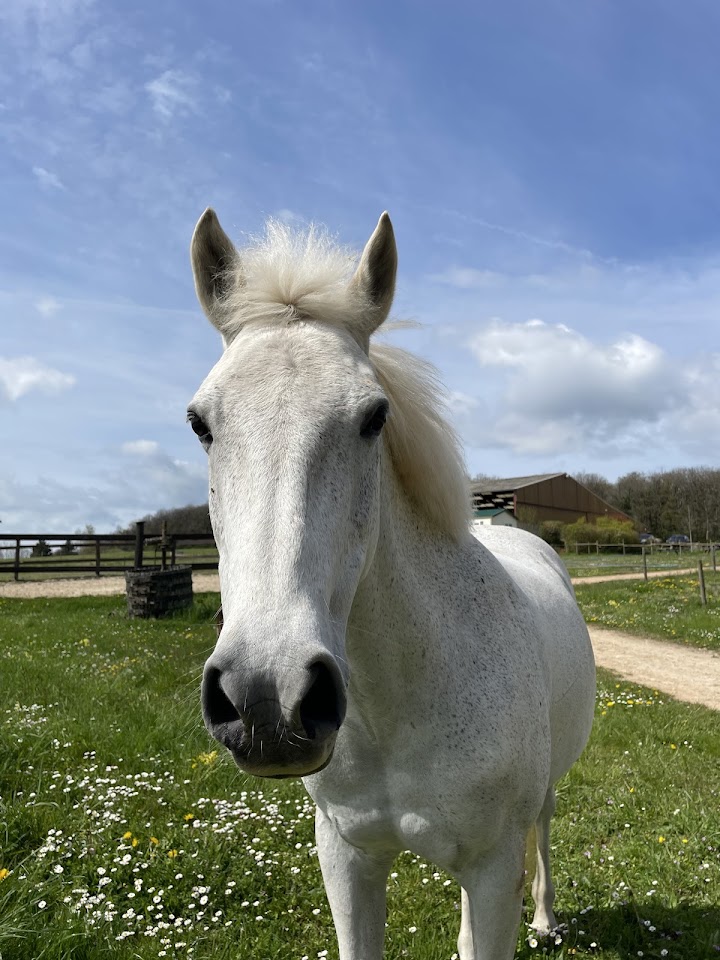 Poney-Club de l&rsquo;Autrot