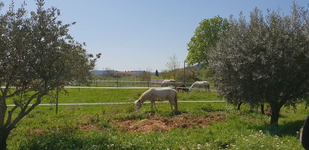 Poney Club de la Clappe