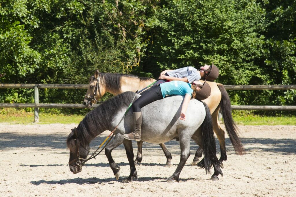 Poney Club de l’Île de loisirs d’Étampes