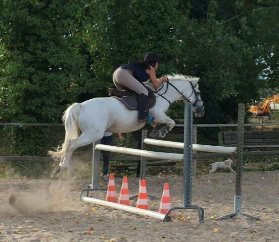 Poneyland de Luisant