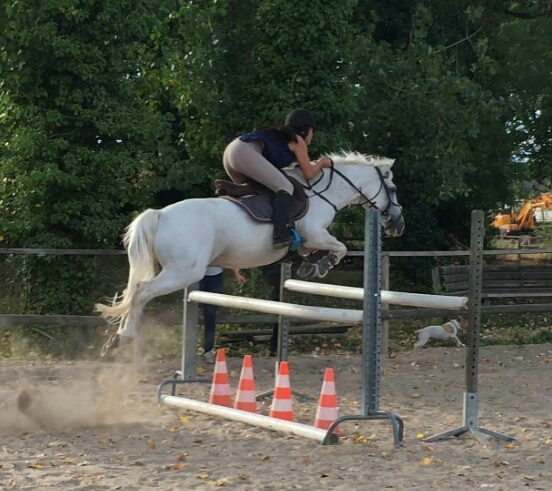 Poneyland de Luisant