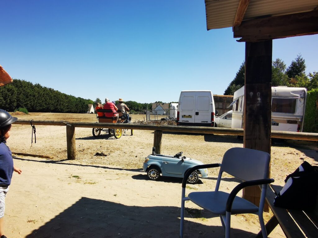 Poneys des Brulins