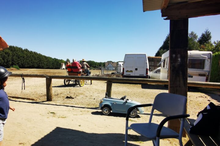 Poneys des Brulins