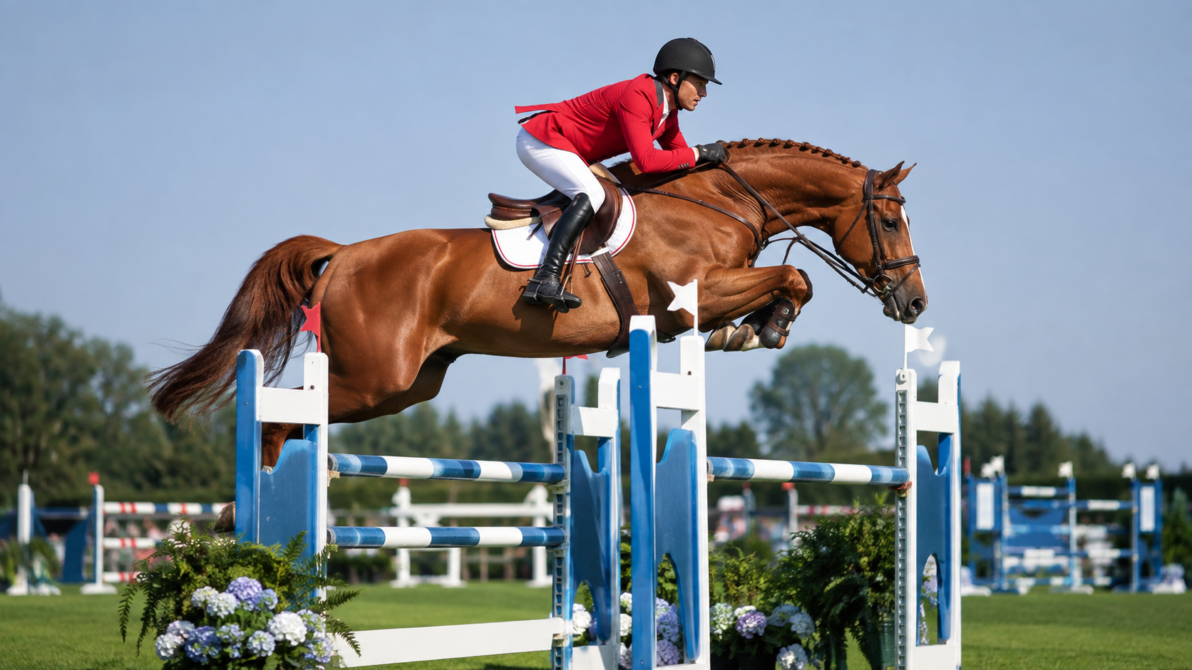 Cheval Westphalien alezan franchissant un oxer en concours de saut d'obstacles