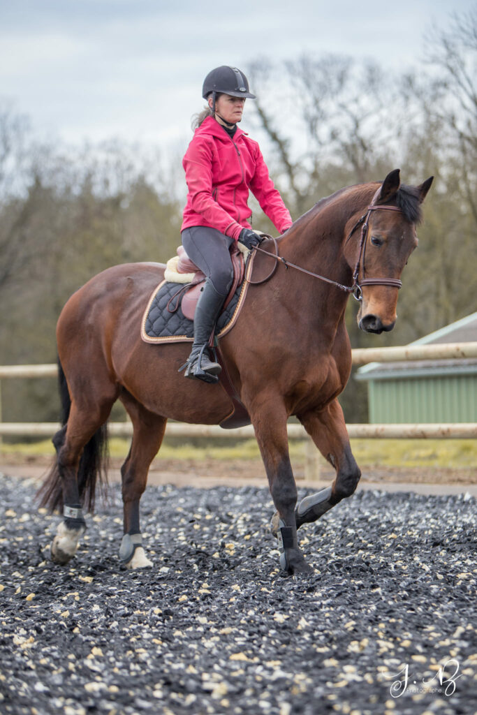 Pension chevaux EquiN’ature