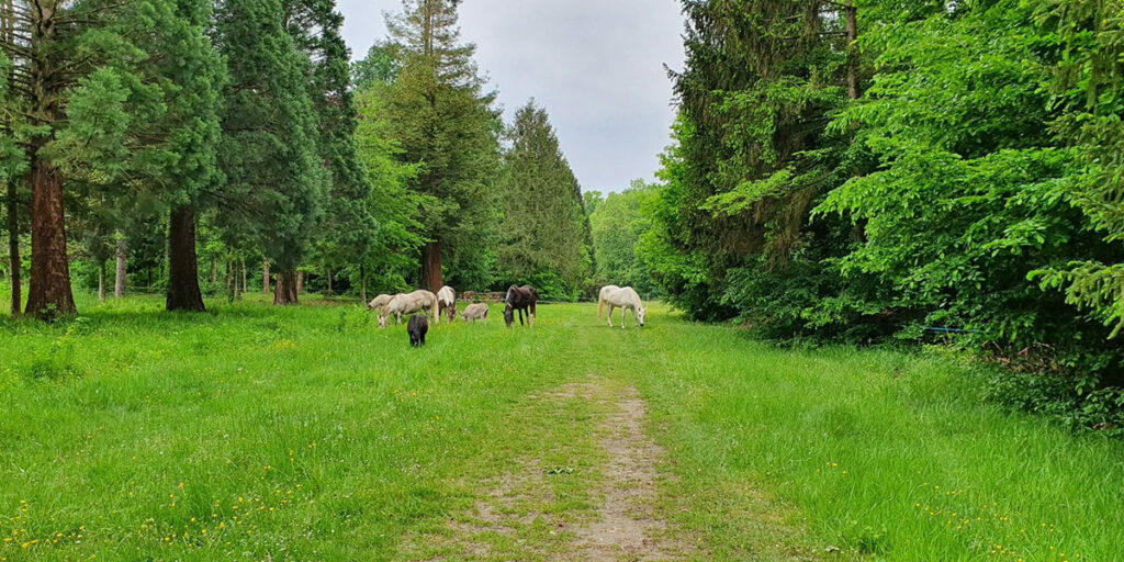Ferme Équestre de Graville