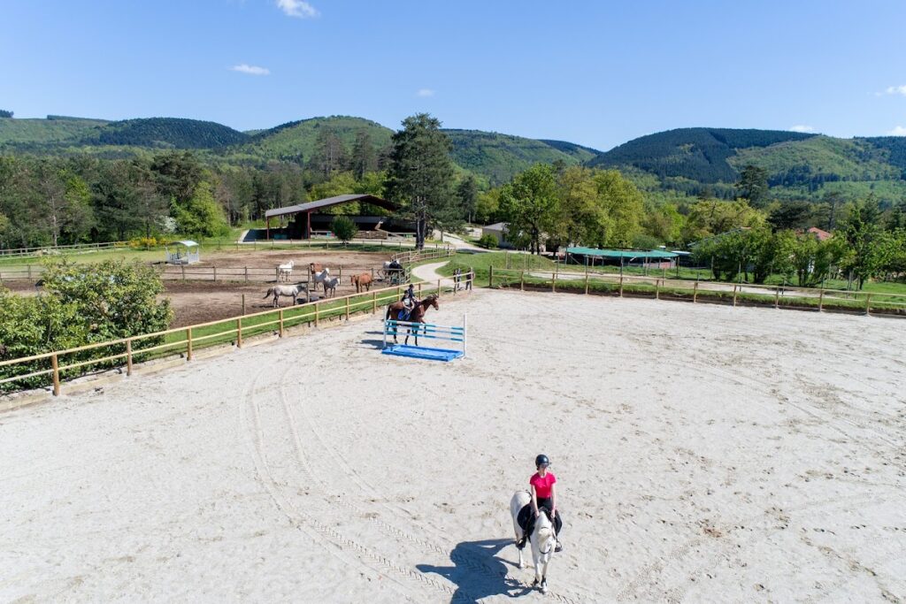 Haras des Lacs