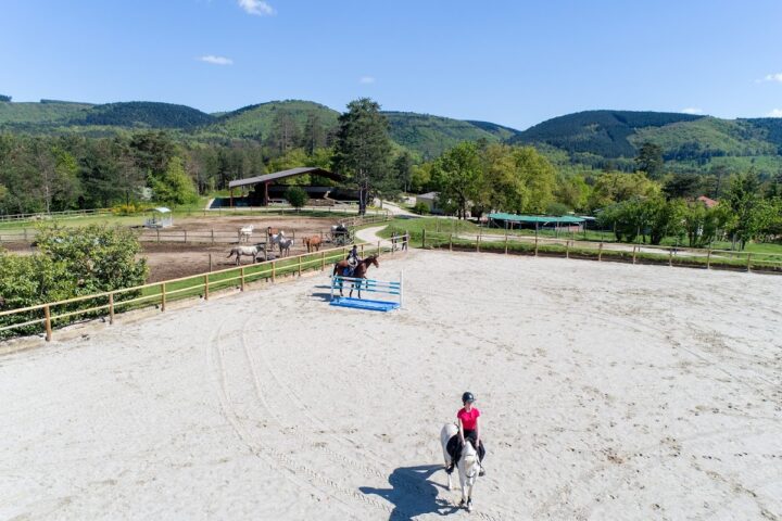 Haras des Lacs
