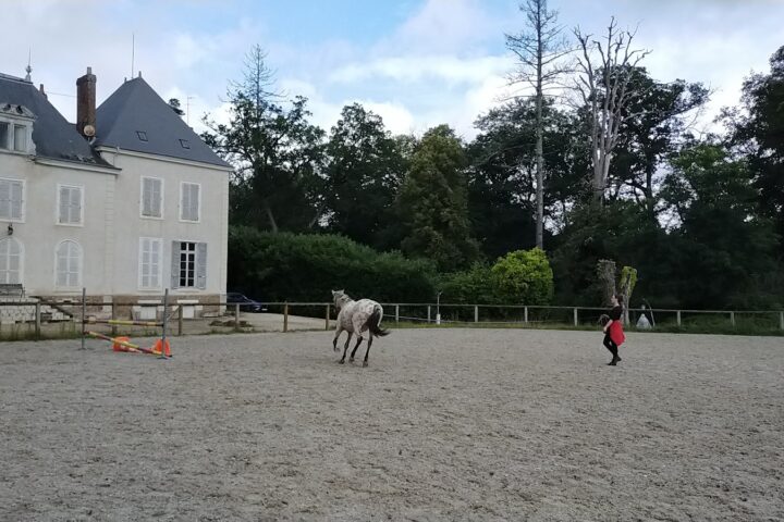 Écuries de la Mennerie