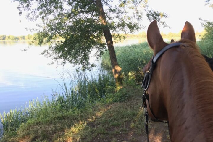 Le Haras de Diane