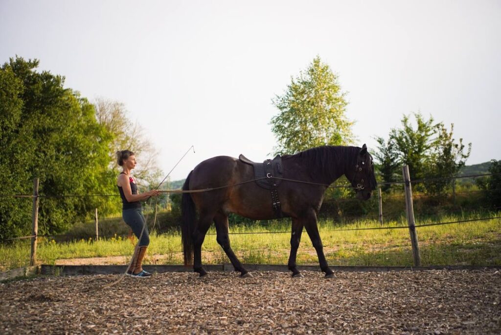 Les Chevaux de Beltane