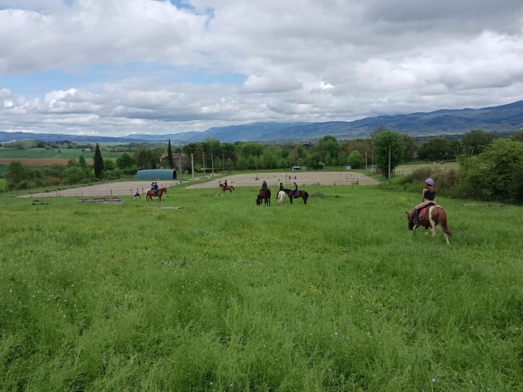 Les Écuries des Bels