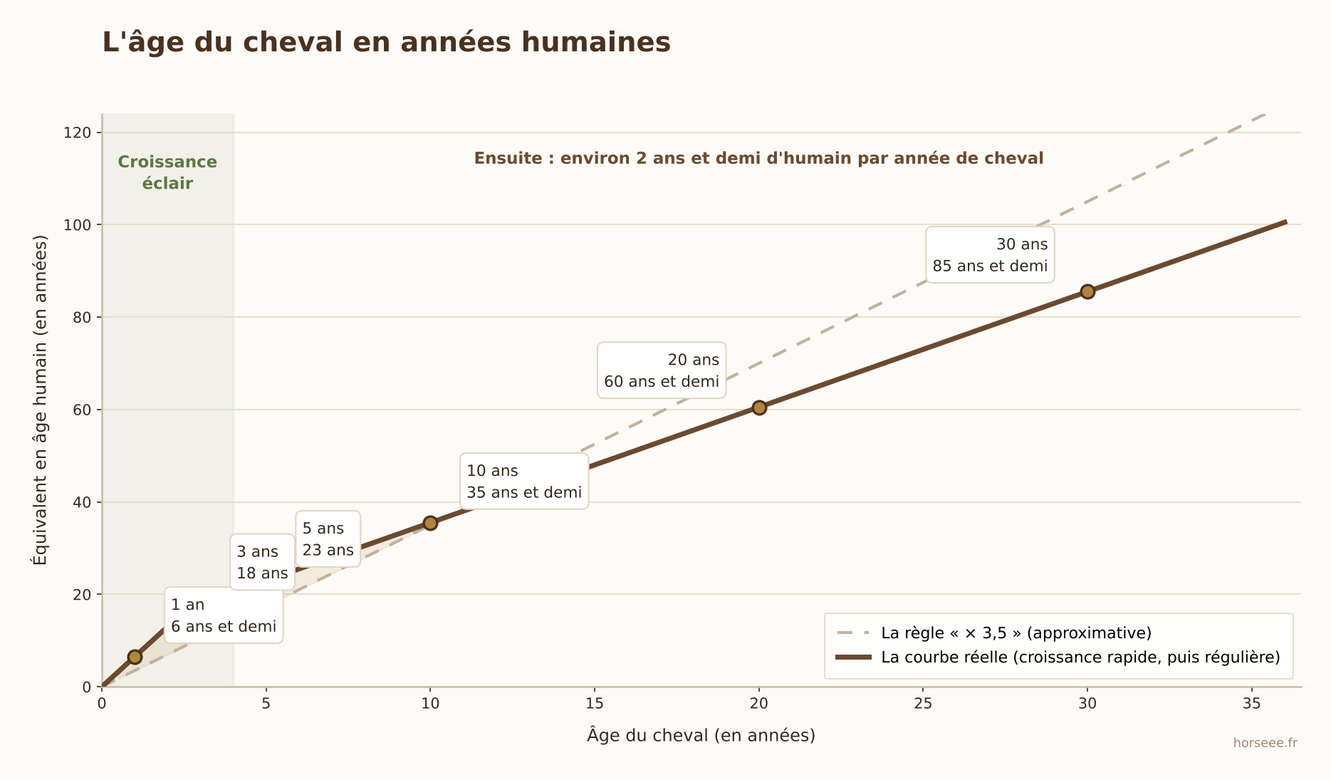 Courbe de conversion de l'âge du cheval en années humaines comparée à la règle du fois 3,5