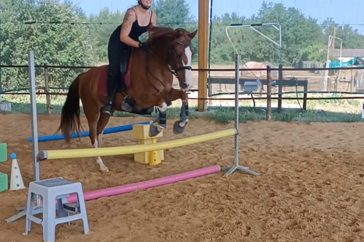 Écuries Jul&rsquo;hyppos Équitation