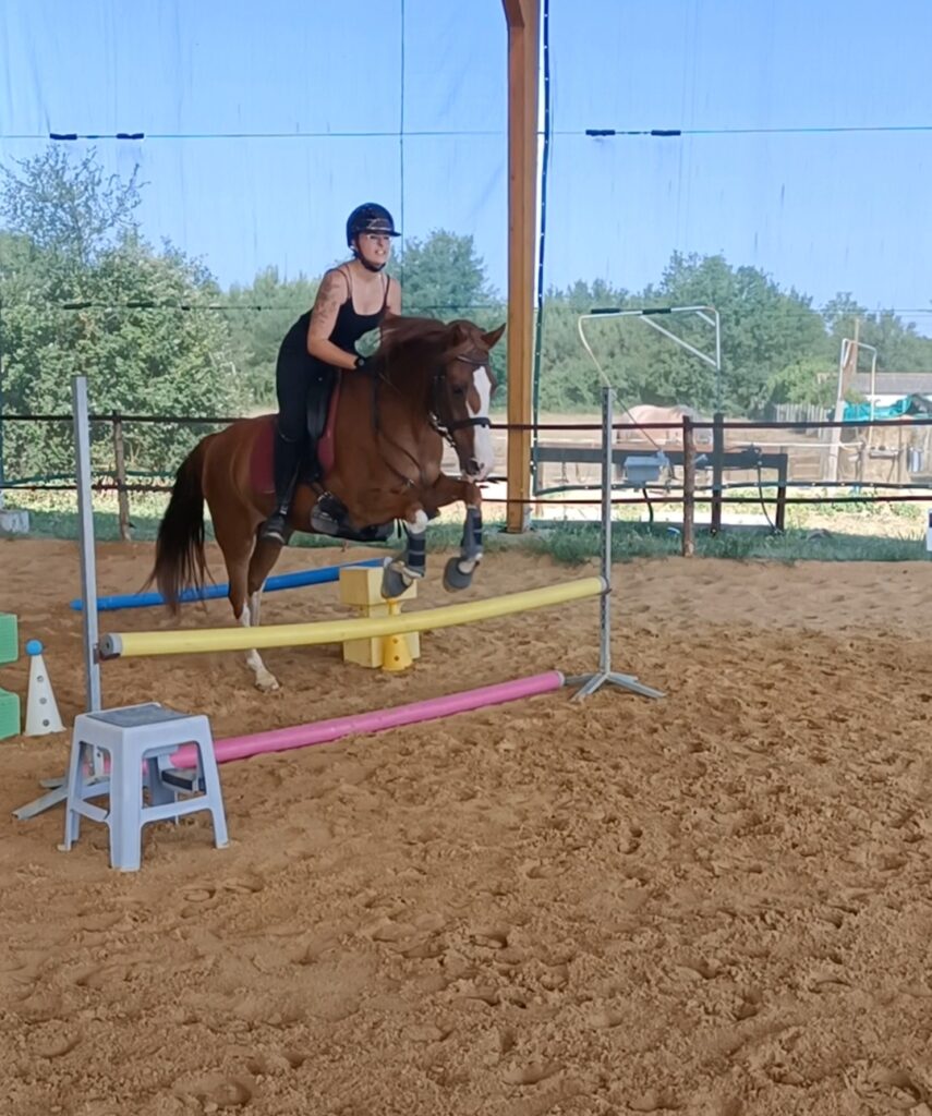 Écuries Jul&rsquo;hyppos Équitation