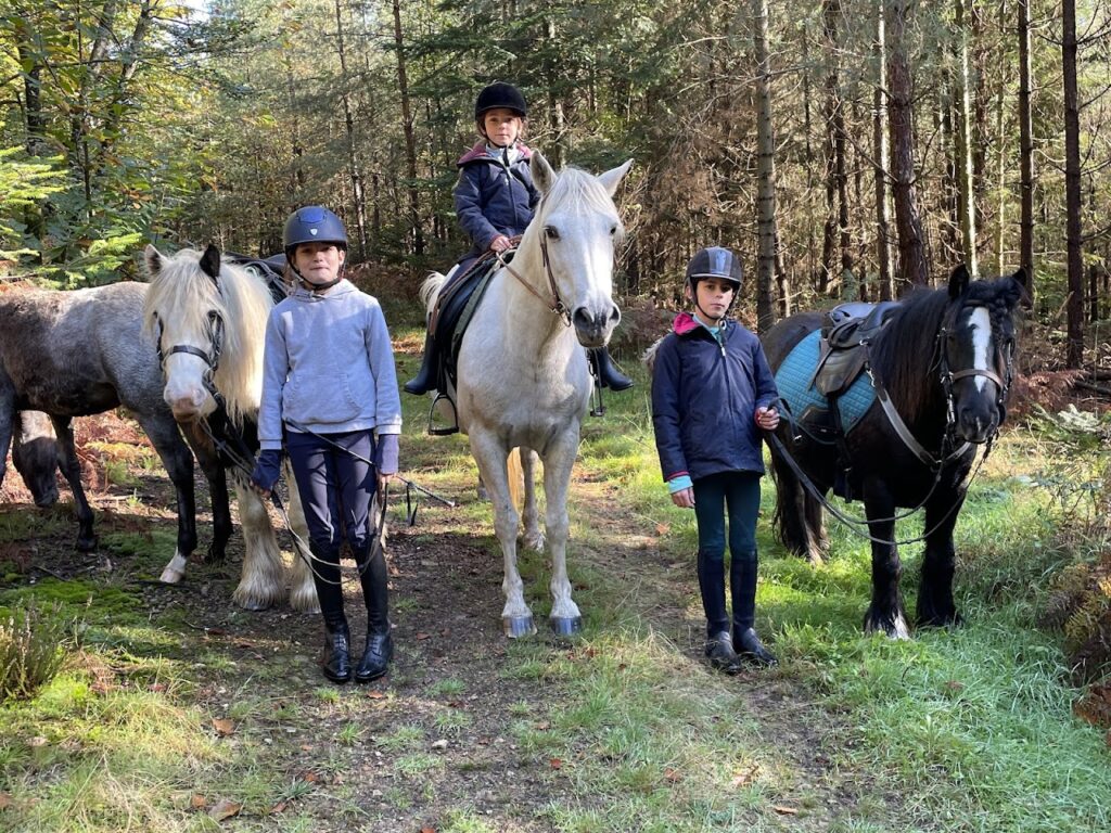 Club Hippique Étrier de Chauvigny