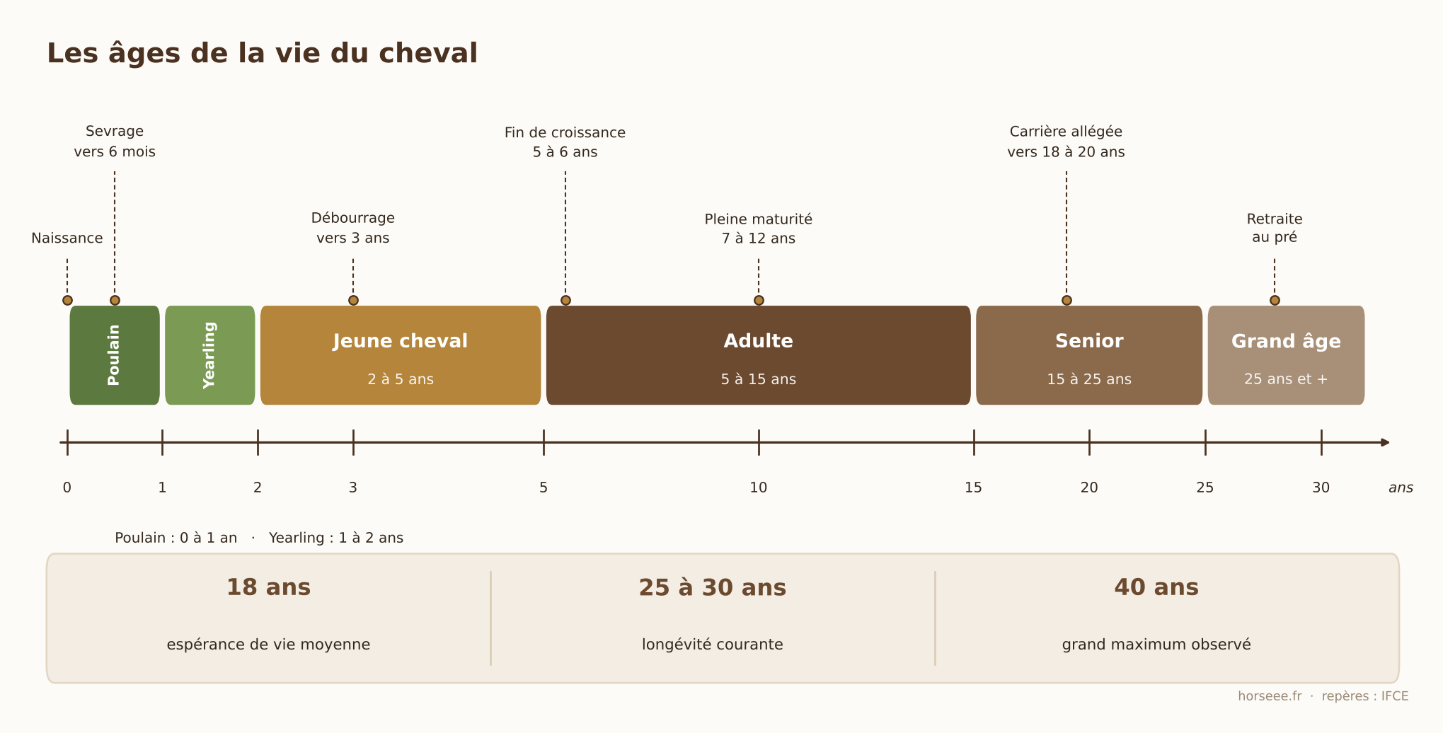 Frise légendée des âges de la vie du cheval, du poulain au grand âge
