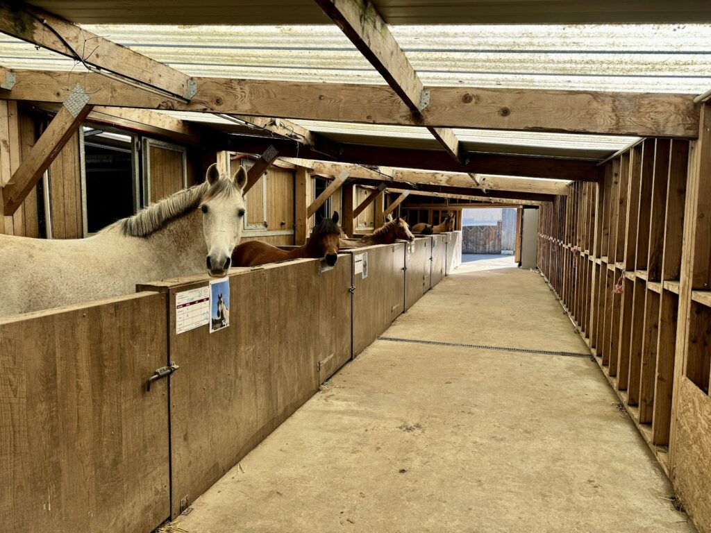Haras de Valême