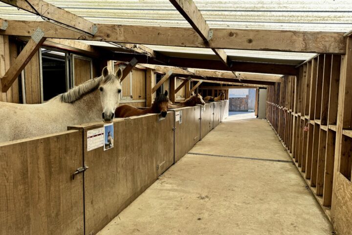 Haras de Valême