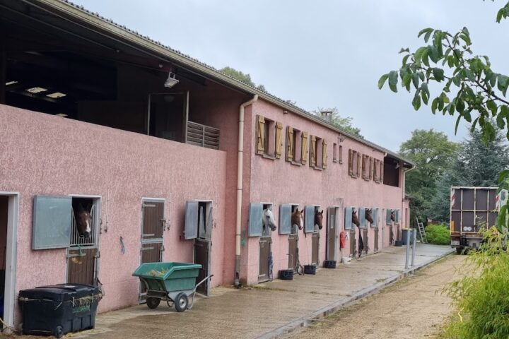 Haras du Croc Marin
