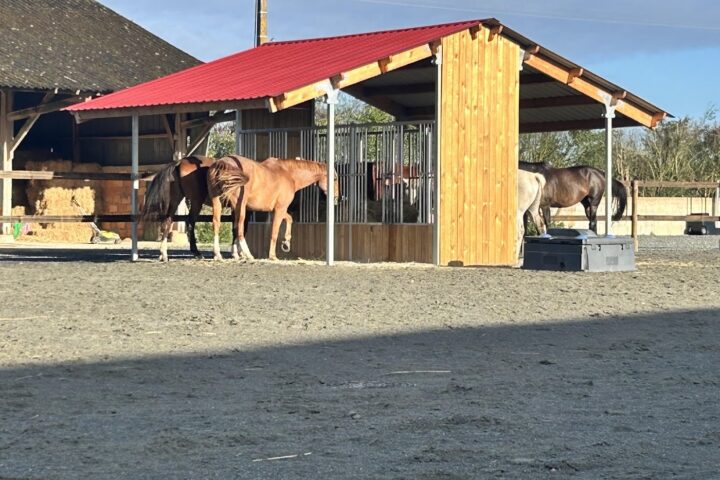 Le Galop Sarthois