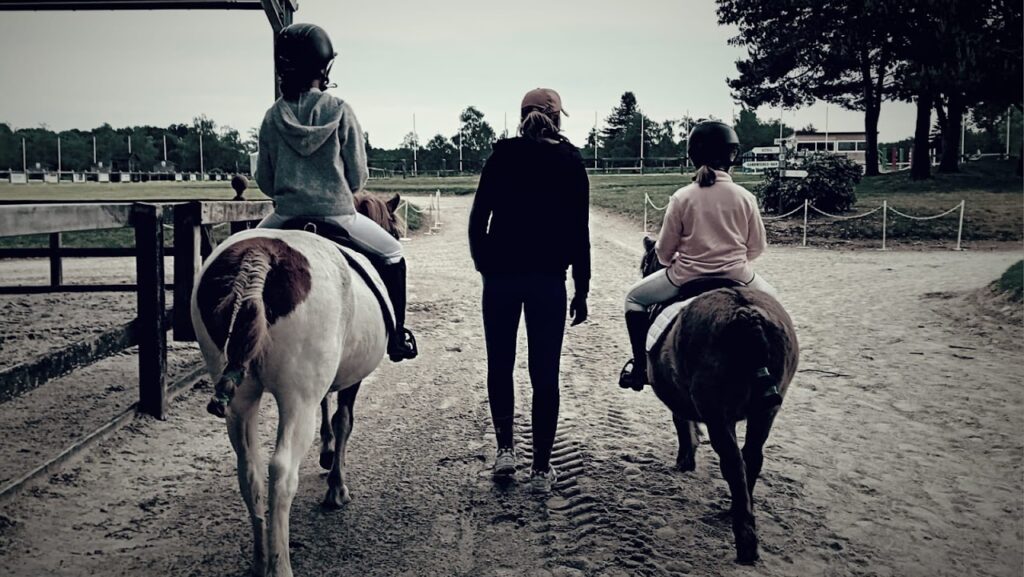 Les Poneys de Marie